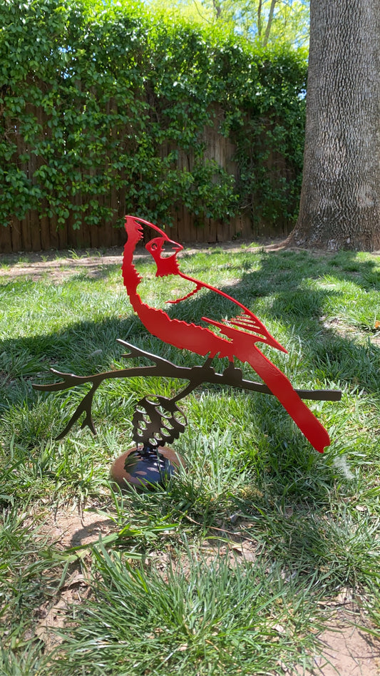 Cardinal on a Branch